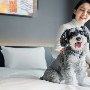 ホテル Anddoggy Nijo ***